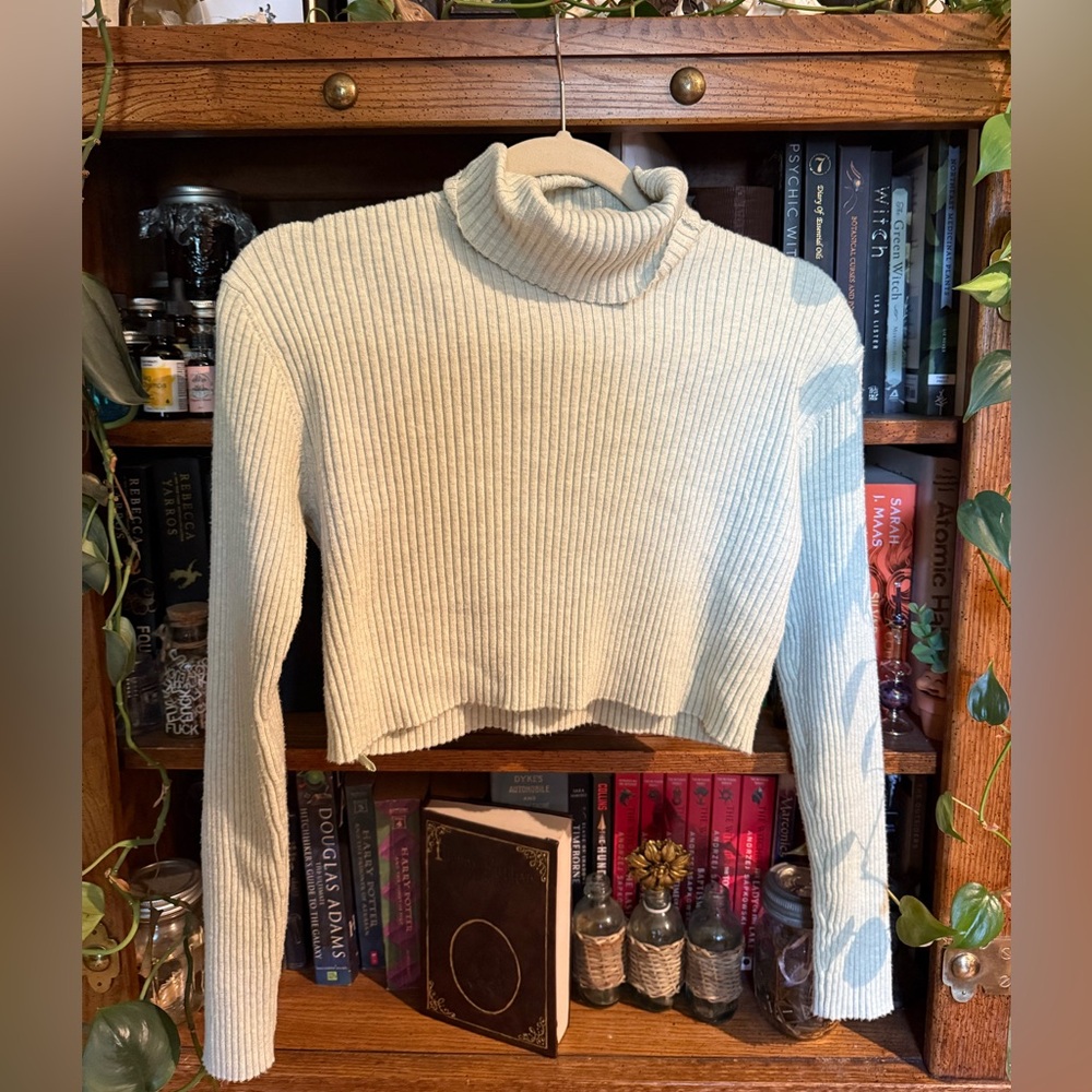 Anthropologie Light Green Ribbed Turtleneck Sweater
